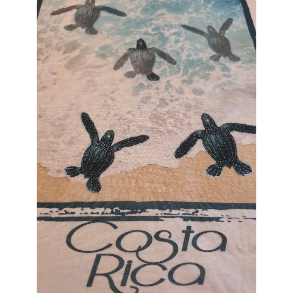 Coconut Harrys Pura Vida Surf Shop Costa Rica Sea Turtle Graphic V-Neck Tee Whit